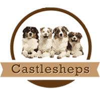 Castlesheps