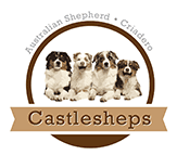Castlesheps