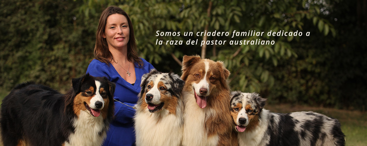Somos